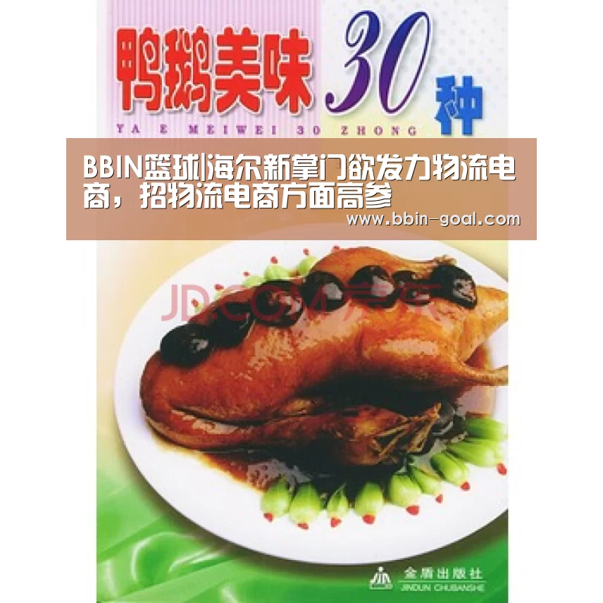 BBIN篮球|海尔新掌门欲发力物流电商,招物流电商方面高参(图2) BBIN篮球