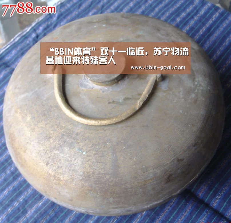 “BBIN体育”双十一临近,苏宁物流基地迎来特殊客人(图1) BBIN电竞